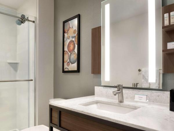 Hilton Garden Inn Chicago Downtown South Loop : photo 4 de la chambre chambre lit king-size