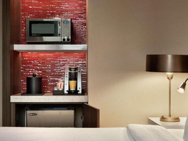 Hilton Garden Inn Chicago Downtown South Loop : photo 3 de la chambre chambre lit king-size