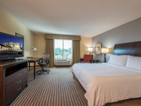 Hilton Garden Inn Atlanta Airport North : photo 2 de la chambre chambre lit king-size