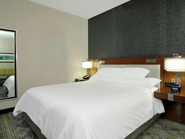 Embassy Suites Pittsburgh-Downtown : photo 1 de la chambre suite studio lit king-size