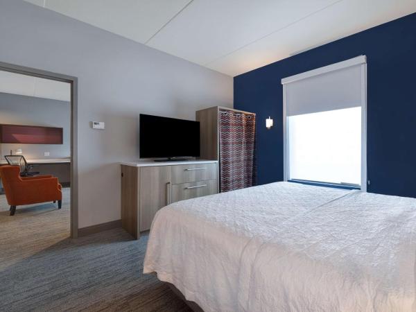 Home2 Suites By Hilton Nashville Downtown-Metrocenter : photo 3 de la chambre suite 1 chambre lit king-size - non-fumeurs