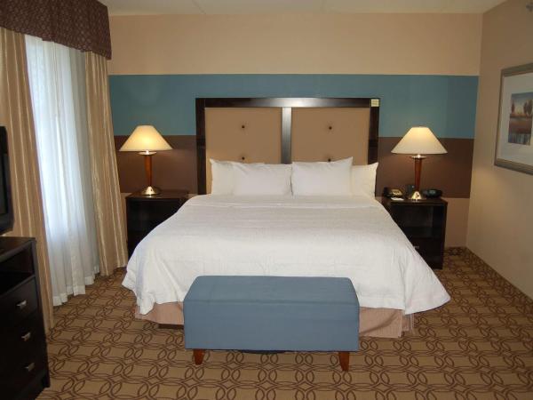 Hampton Inn & Suites Charlotte-Airport : photo 8 de la chambre suite studio lit king-size avec canapé-lit – non-fumeurs