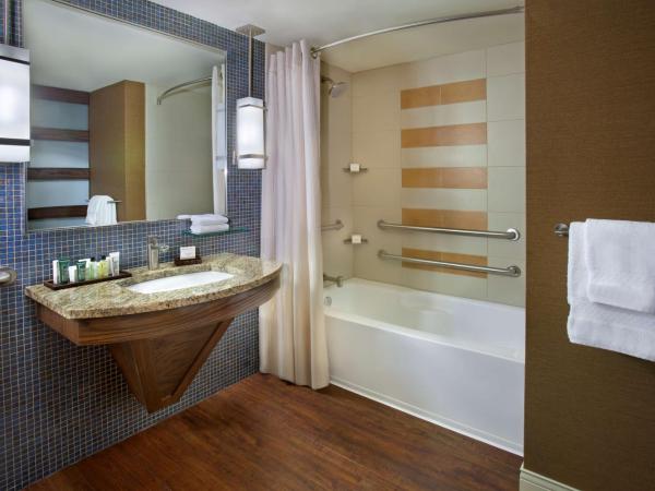 Hilton Palacio del Rio : photo 4 de la chambre chambre lit king-size avec baignoire - accessible aux personnes à mobilité réduite