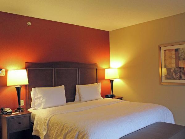 Hampton Inn & Suites - Saint Louis South Interstate 55 : photo 2 de la chambre king room with accessible tub - mobility and hearing access/non-smoking