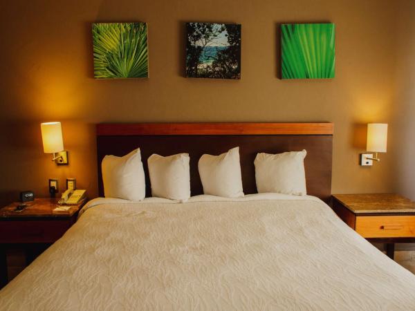 Hilton Garden Inn Veracruz Boca del Rio : photo 5 de la chambre suite 1 chambre supérieure avec balcon