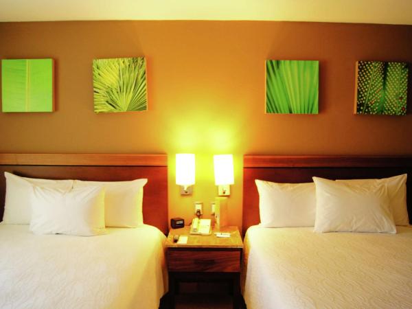 Hilton Garden Inn Veracruz Boca del Rio : photo 6 de la chambre chambre avec 2 lits queen-size - vue sur ville