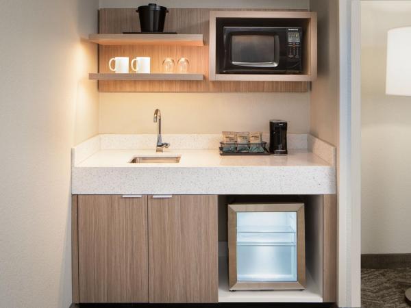 SpringHill Suites by Marriott Dallas Downtown / West End : photo 9 de la chambre suite double avec canapé-lit