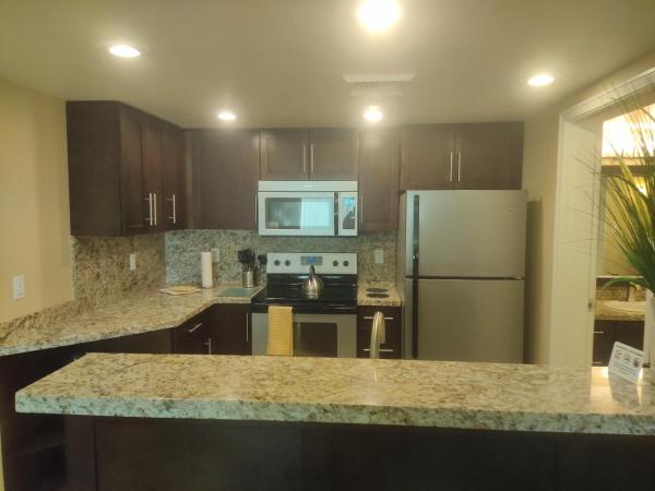 1 bedroom condo F1 / Superbowl Availability : photo 7 de la chambre appartement