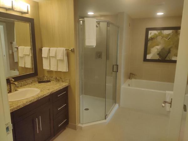 1 bedroom condo F1 / Superbowl Availability : photo 8 de la chambre appartement