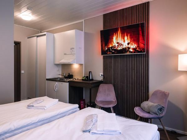 Hotel Boreas : photo 2 de la chambre chambre lits jumeaux avec terrasse