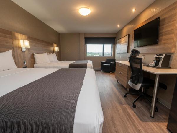 Hôtel & Suites Le Dauphin Québec : photo 4 de la chambre chambre avec 2 grands lits queen-size
