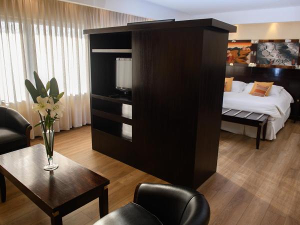 Alejandro 1º Hotel : photo 8 de la chambre suite junior