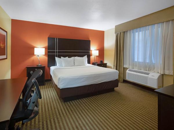 La Quinta by Wyndham Tucson - Reid Park : photo 3 de la chambre chambre lit king-size - non-fumeurs