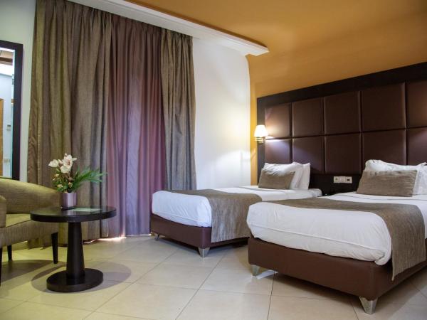 Malak Hotel : photo 1 de la chambre chambre lits jumeaux standard