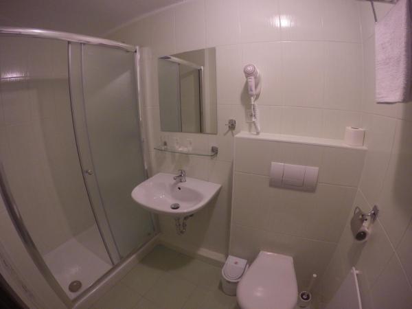 Wellness Hotel Svachovka : photo 6 de la chambre chambre double ou lits jumeaux