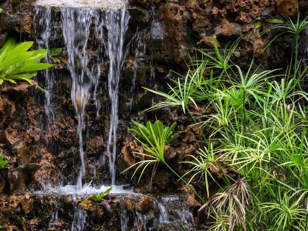 CAMP CAYLA - EDEN : photo 4 de la chambre tente