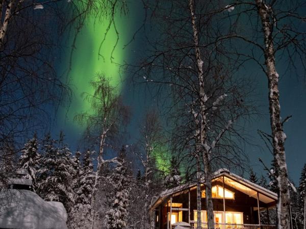 Napapiirin Järvilomat : photo 1 de la chambre cottage 2 chambres avec sauna