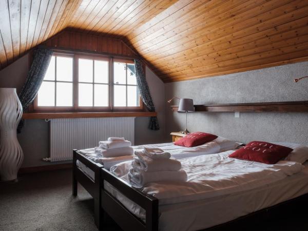 Le Coucou Hotel Restaurant & Lounge-Bar : photo 3 de la chambre chambre alpine (salle de bains commune)