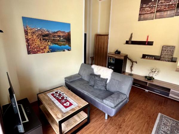 Aladin Apartments St Moritz : photo 2 de la chambre appartement (2 adultes)