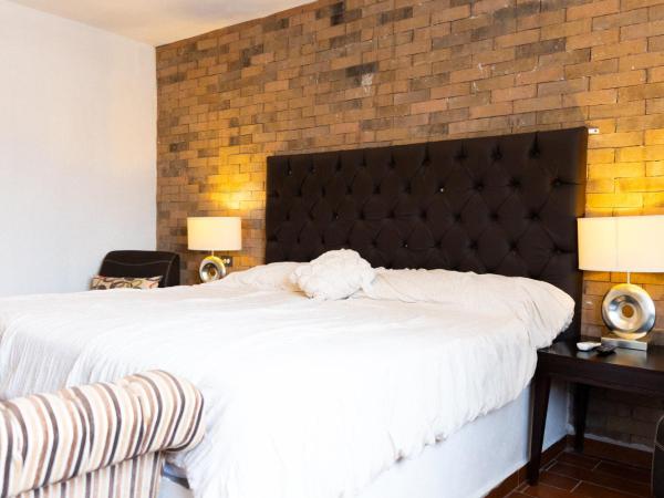 Suites Apodaca : photo 4 de la chambre chambre double deluxe