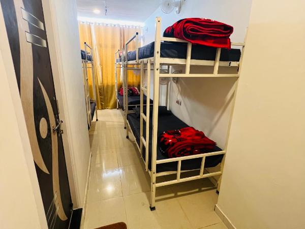 Hotstel Udaipur : photo 4 de la chambre lit dans dortoir mixte de 6 lits