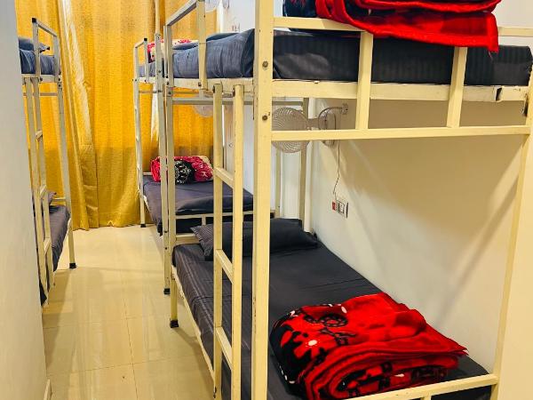 Hotstel Udaipur : photo 3 de la chambre lit dans dortoir mixte de 6 lits