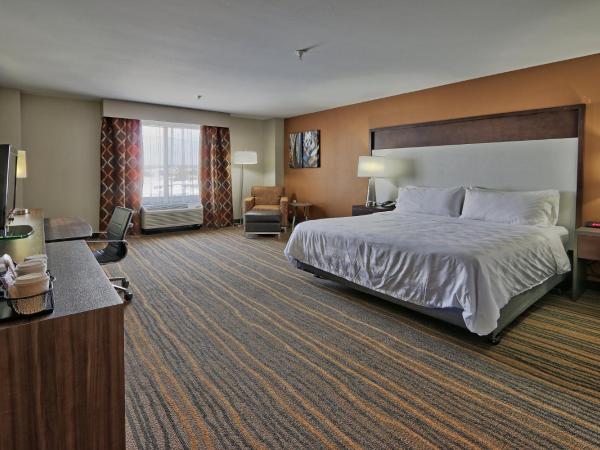 Holiday Inn & Suites Albuquerque-North I-25, an IHG Hotel : photo 4 de la chambre chambre lit king-size standard