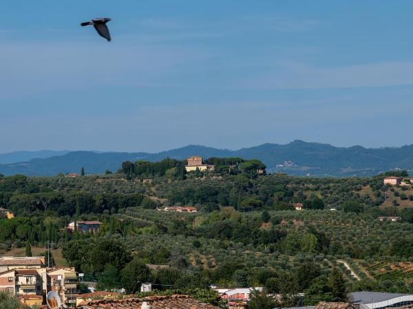 Torre del Fuggisole : photo 7 de la chambre chambre double ou lits jumeaux - vue sur ville
