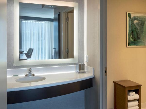 Courtyard by Marriott Philadelphia South at The Navy Yard : photo 8 de la chambre suite lit king-size avec canapé-lit