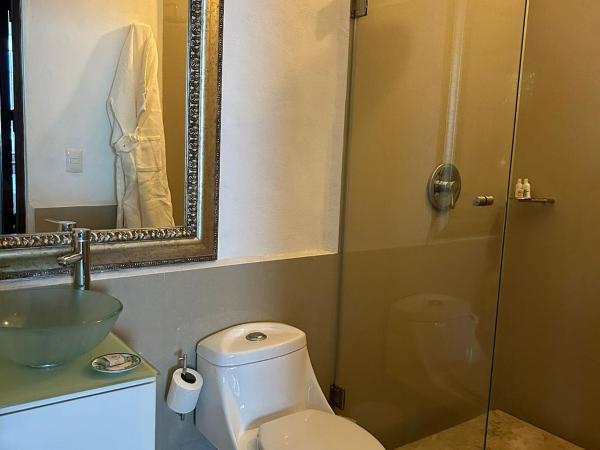 Hotel Boutique Casa de Campo : photo 5 de la chambre suite avec terrasse