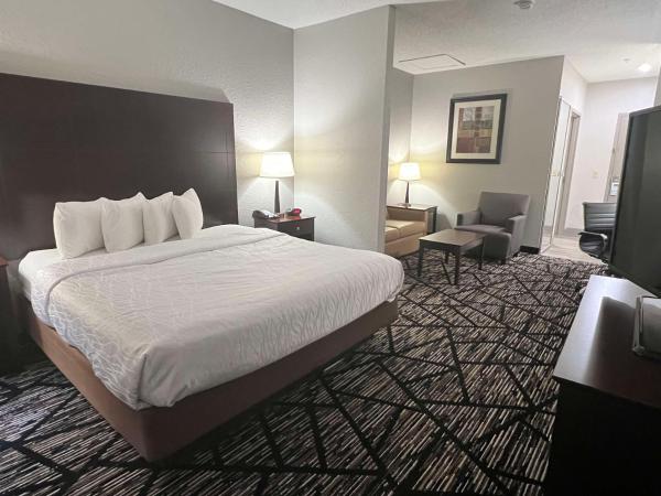 Best Western PLUS Hobby Airport Inn and Suites : photo 3 de la chambre chambre lit king-size - adaptée aux personnes malentendantes/non-fumeurs 