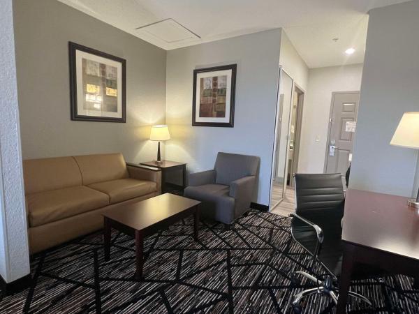 Best Western PLUS Hobby Airport Inn and Suites : photo 6 de la chambre chambre lit king-size - adaptée aux personnes malentendantes/non-fumeurs 