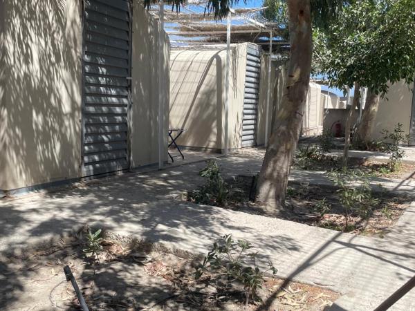 Santorini Camping & Hostel : photo 3 de la chambre 1 bed in shared tent (male)