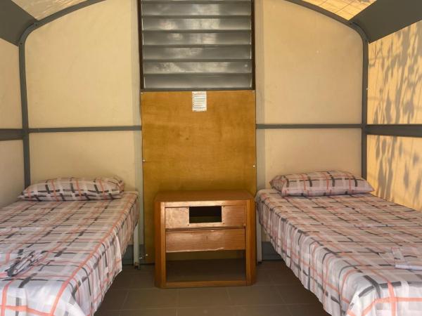 Santorini Camping & Hostel : photo 1 de la chambre 1 bed in shared tent (female)