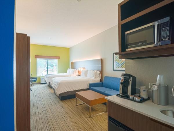 Holiday Inn Express Hotel & Suites Tampa-USF-Busch Gardens, an IHG Hotel : photo 4 de la chambre suite lit queen-size