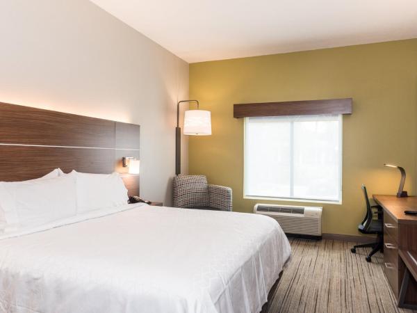 Holiday Inn Express Hotel & Suites Tampa-USF-Busch Gardens, an IHG Hotel : photo 5 de la chambre chambre standard