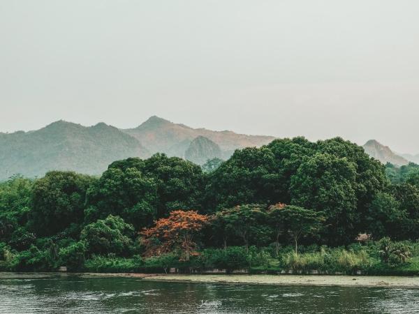 Natee The Riverfront Hotel Kanchanaburi : photo 10 de la chambre chambre double ou lits jumeaux deluxe - vue sur rivière