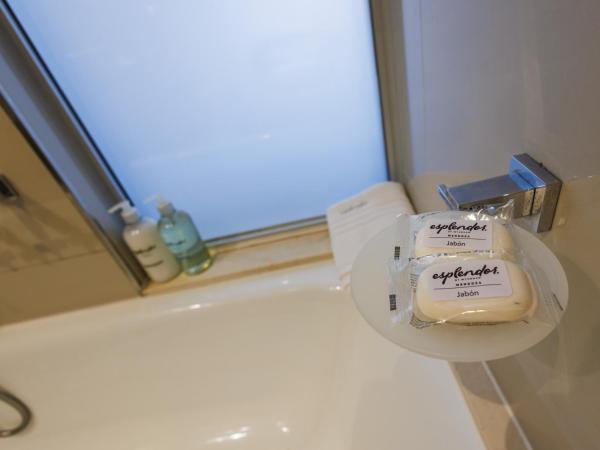 Esplendor by Wyndham Mendoza : photo 7 de la chambre chambre lit king-size - non-fumeurs