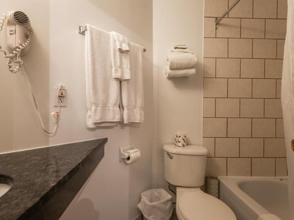 Hotel le Roberval : photo 3 de la chambre studio lit queen-size