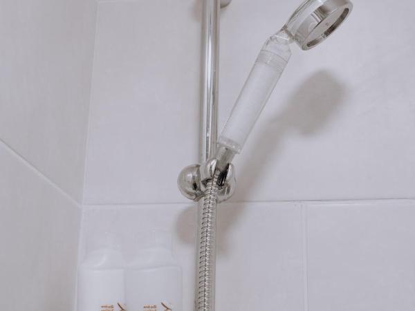 CROKE PARK STUDIO : photo 10 de la chambre studio standard