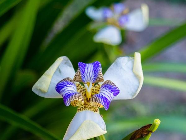Villa Bella Ferradura : photo 5 de la chambre chambre double - vue sur piscine