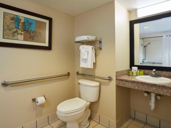 DoubleTree by Hilton Hotel Orlando at SeaWorld : photo 2 de la chambre chambre lit king-size deluxe avec bar à Évier