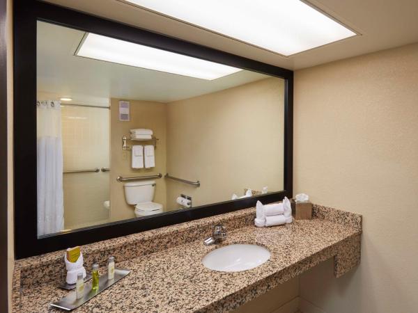 DoubleTree by Hilton Hotel Orlando at SeaWorld : photo 4 de la chambre chambre lit king-size avec douche accessible en fauteuil roulant - adaptée aux personnes à mobilité réduite