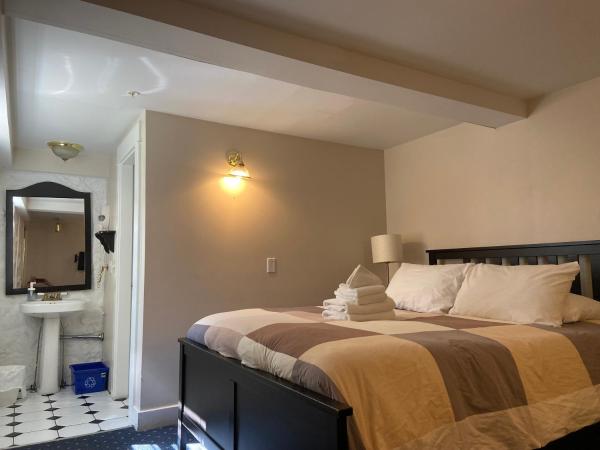 Windsor Guest House : photo 2 de la chambre double room (lower level)