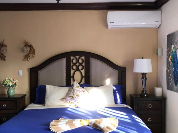 Villas Segovia Hotel Boutique & Suites : photo 9 de la chambre suite deluxe