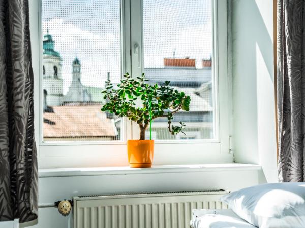 Hostel Pod Basztą : photo 9 de la chambre chambre quadruple