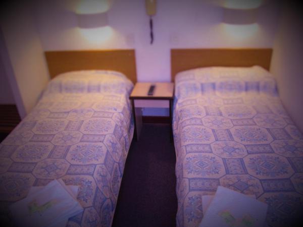 Hôtel Duchesse Anne : photo 2 de la chambre chambre lits jumeaux