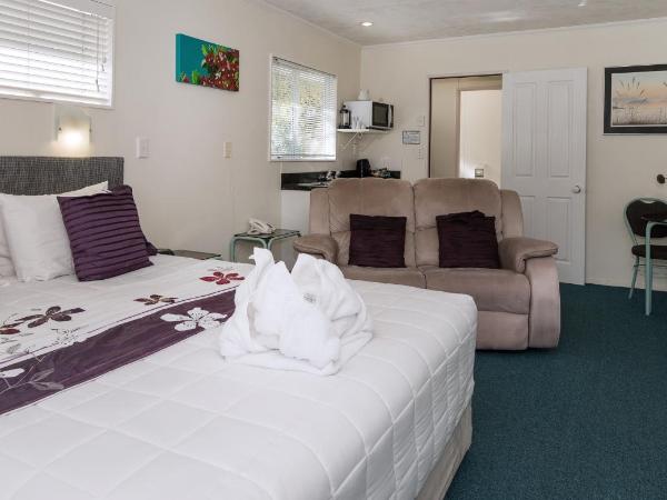 Palm Court Motor Inn : photo 1 de la chambre studio avec bain à remous