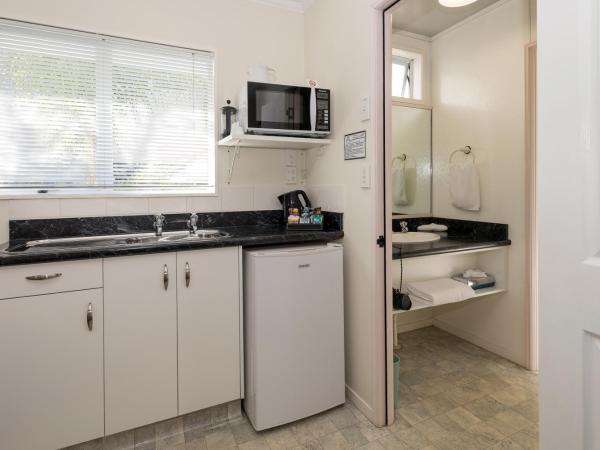 Palm Court Motor Inn : photo 7 de la chambre studio avec bain à remous