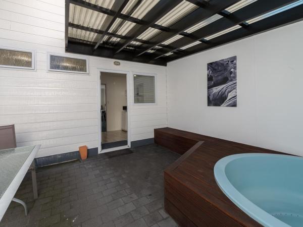 Palm Court Motor Inn : photo 6 de la chambre studio lits jumeaux avec bains à remous